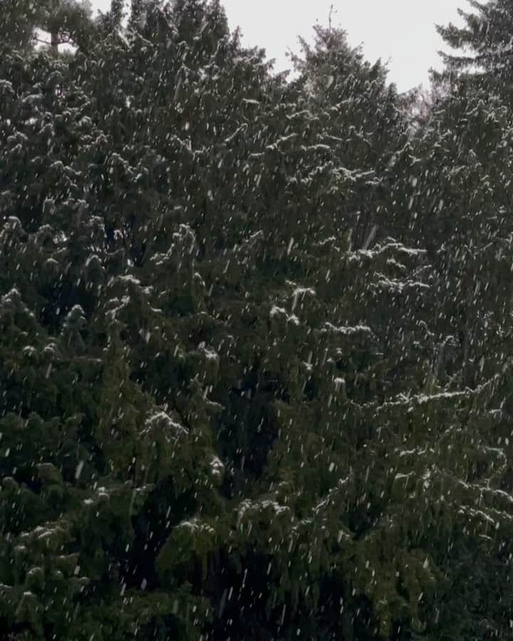 Mathilde Goehlerのインスタグラム：「This makes my mood 🥺☃️🤍🙌🏽」
