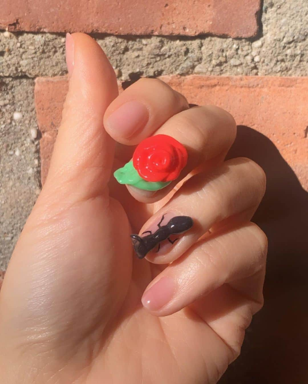 Mei Kawajiriさんのインスタグラム写真 - (Mei KawajiriInstagram)「Rose and Ant 🌹🐜 薔薇と蟻  #shortnails #nailsbymei」1月8日 1時32分 - nailsbymei