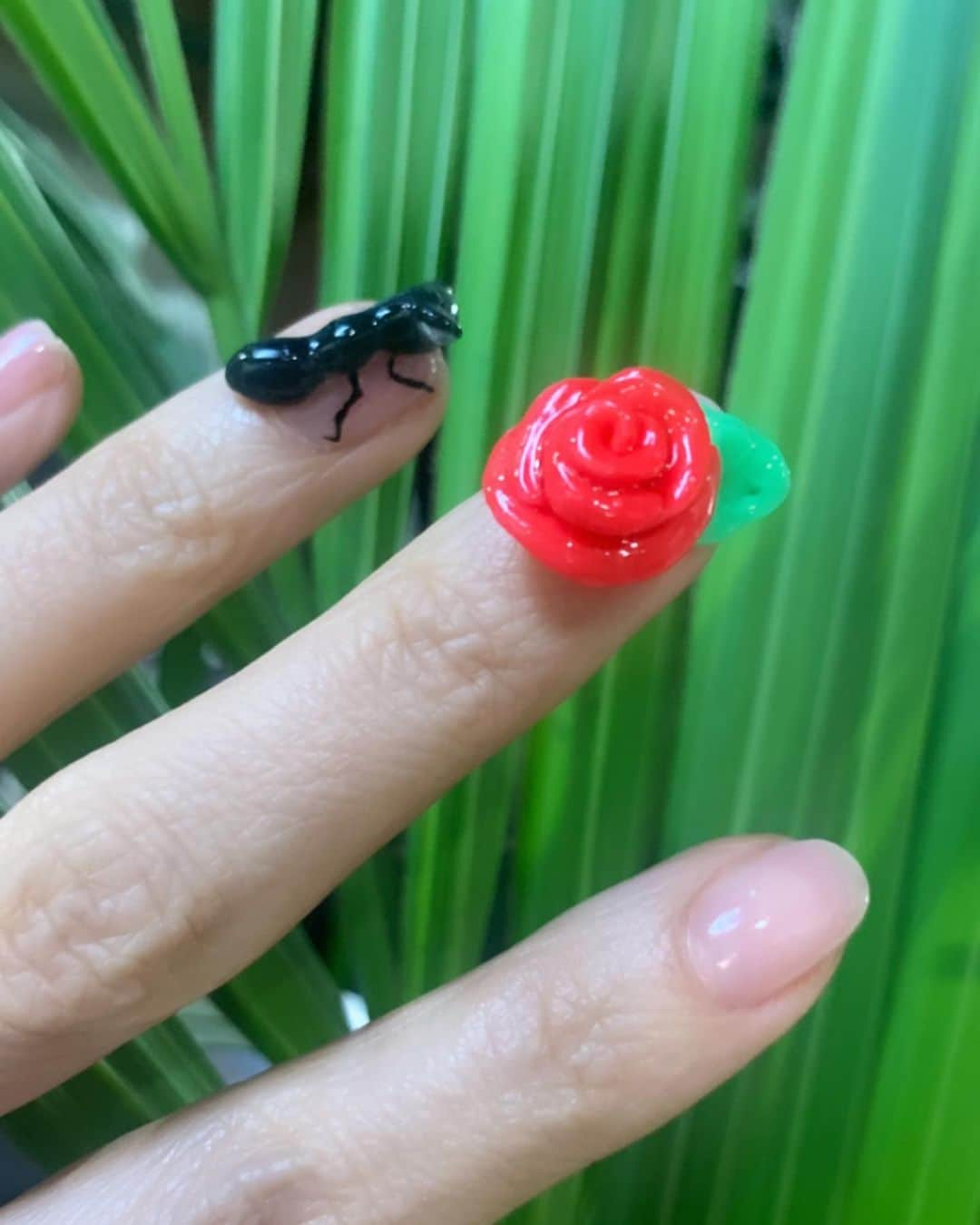 Mei Kawajiriさんのインスタグラム写真 - (Mei KawajiriInstagram)「Rose and Ant 🌹🐜 薔薇と蟻  #shortnails #nailsbymei」1月8日 1時32分 - nailsbymei