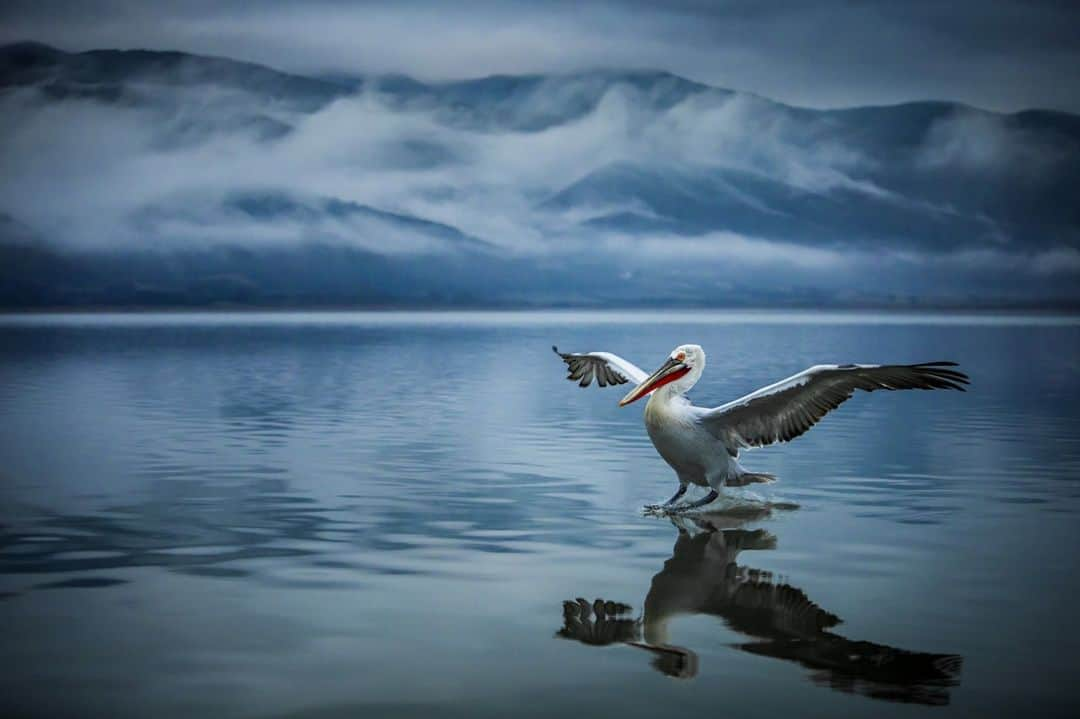 Canon UKさんのインスタグラム写真 - (Canon UKInstagram)「'"The Blue hour" captured by @seanweekly 🌬️  Camera: EOS 5D Mark IV Lens: EF 70-200mm f/2.8L IS II USM at 70mm Shutter Speed: 1/500, Aperture: f/2.8, ISO 2500」1月8日 1時33分 - canonuk