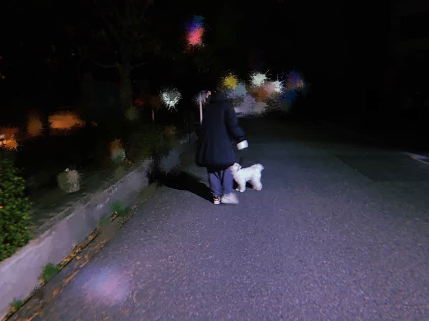 白間美瑠さんのインスタグラム写真 - (白間美瑠Instagram)「夜のお散歩🚶🏻‍♀️ 目からビーム放ってます🤣 ・ なの太は、大きくて力も強いのに、、甘えん坊の怖がりで、、無邪気くんです🤣 ・ 面白すぎー☺️ #白間家　#わんこ　#なの太 #くん」1月8日 1時44分 - shiro36run