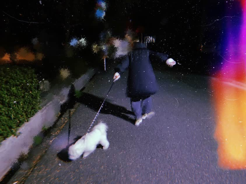 白間美瑠さんのインスタグラム写真 - (白間美瑠Instagram)「夜のお散歩🚶🏻‍♀️ 目からビーム放ってます🤣 ・ なの太は、大きくて力も強いのに、、甘えん坊の怖がりで、、無邪気くんです🤣 ・ 面白すぎー☺️ #白間家　#わんこ　#なの太 #くん」1月8日 1時44分 - shiro36run