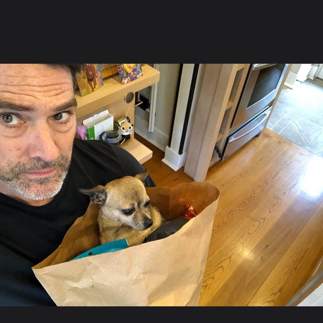 のインスタグラム：「Bag o’ rat  #tbt」