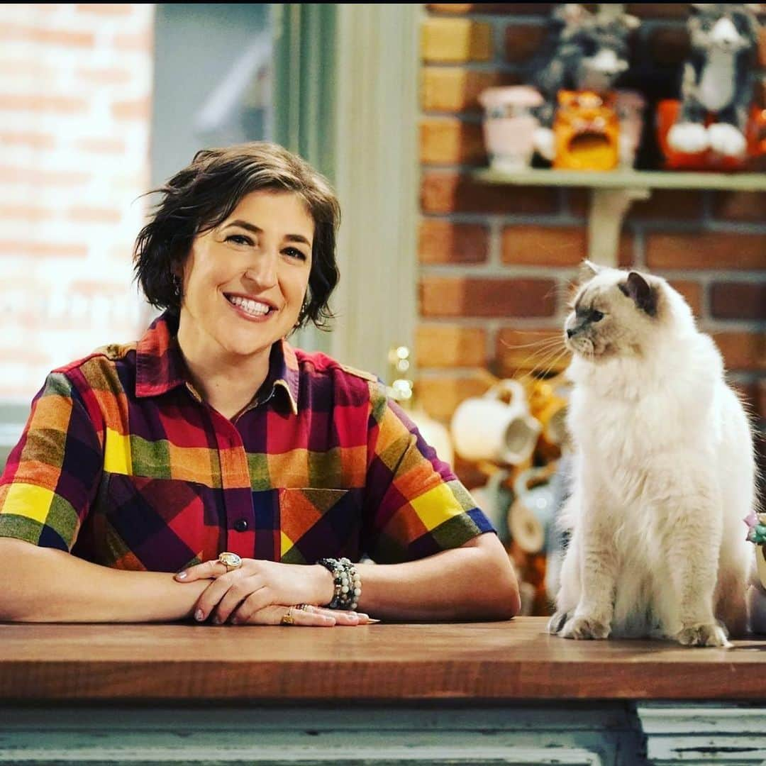 ジム・パーソンズのインスタグラム：「Um, could you use a delightful DISTRACTION right about now?!? well, episode 2 of @callmekatfox airs tonight! 9e/8c 😘 🐱 🎉」