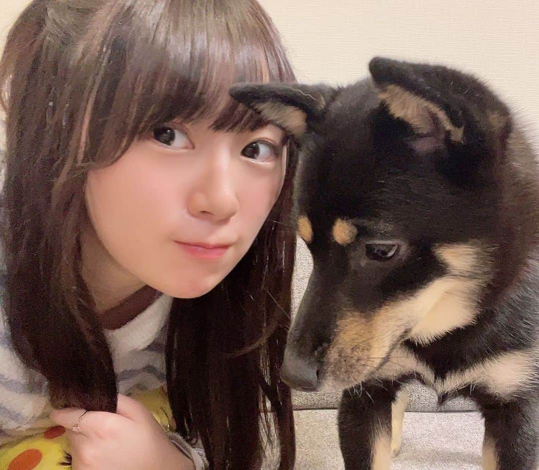環奈（長沢菜々香の飼い犬）のインスタグラム：「なかよし」