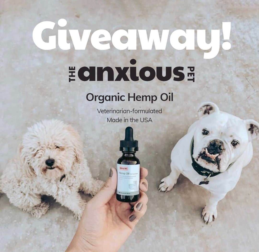 DogsOf Instagramのインスタグラム：「*GIVEAWAY CLOSED* We’re starting the new year off with some calm by giving away @theanxiouspet Organic Hemp Oil to 25 lucky winners! Open to U.S. residents only, see contest details below:  Prize: One veterinarian-formulated, made in the U.S, organic hemp oil from @theanxiouspet will be given to 25 winners!   How to Enter:  1. Follow @dogsofinstagram and @theanxiouspet and ❤️ this post.   2. Tag a friend in the comments! One tag per comment, and each tag is an entry, so comment as many times as you’d like!  3. For an additional 5 entries, repost this to your story and tag @dogsofinstagram and @theanxiouspet so we can see!  4. Giveaway ends on Monday January 11th at midnight. Winners will be chosen at random and announced on Tuesday in our stories.  This giveaway is in no way sponsored, endorsed, administered by, or associated with Instagram. By entering, entrants confirm that they are 18+ years of age and agree to Instagram’s terms of services. U.S. residents only.  📸: @melissamoreno14」