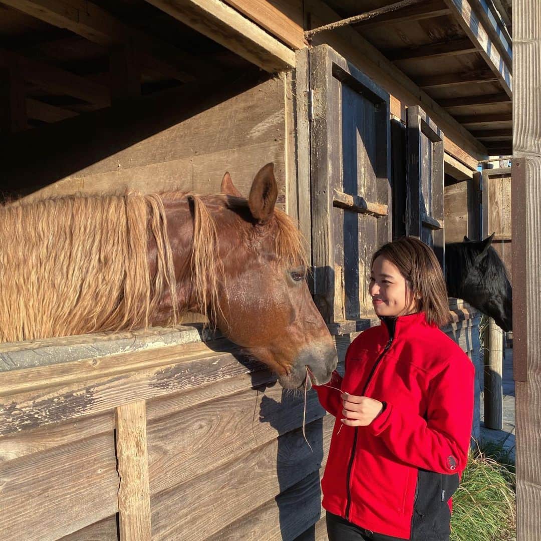 水崎綾女さんのインスタグラム写真 - (水崎綾女Instagram)「お馬さんと対話。 🐴👩✨ #🐴 #馬 #お馬さん」1月8日 10時26分 - misakiayame