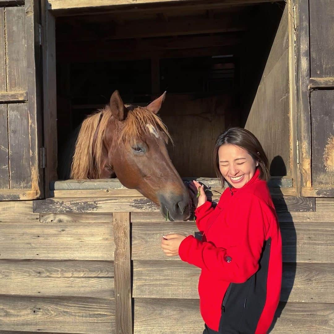 水崎綾女さんのインスタグラム写真 - (水崎綾女Instagram)「お馬さんと対話。 🐴👩✨ #🐴 #馬 #お馬さん」1月8日 10時26分 - misakiayame