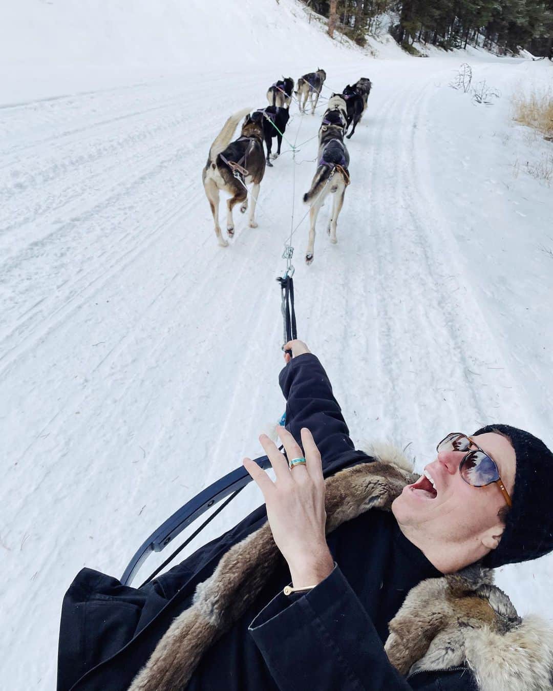 ショーン・ホワイトのインスタグラム：「Gets dragged by wolves」