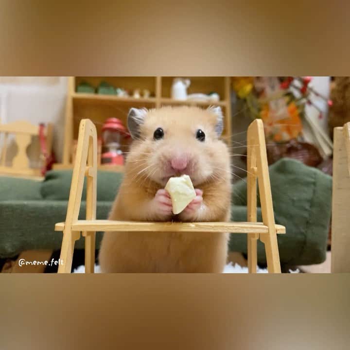 Mitsuyoのインスタグラム
