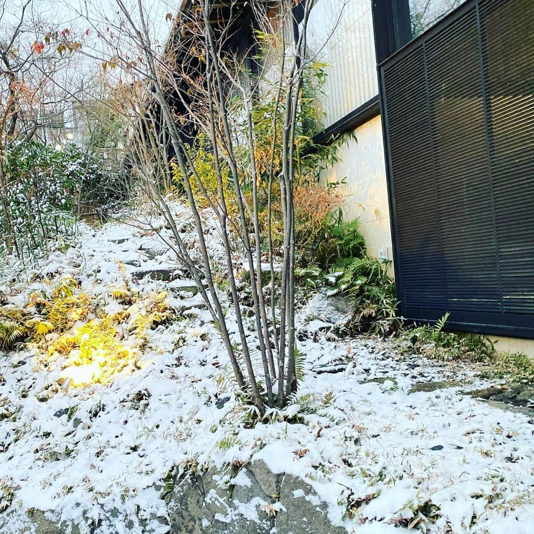 TOGGYさんのインスタグラム写真 - (TOGGYInstagram)「ボンジョルノ！  雪景色@FUKUOKA, JAPAN  冬タイヤ装着してないクルマは 今日は運転しないでください。」1月8日 7時23分 - dj_toggy