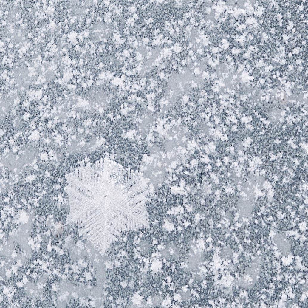 のインスタグラム：「あたたかくしてますように  ﻿ ﻿ ﻿ ﻿ ﻿ ﻿ ﻿ ﻿ ﻿ ﻿ ﻿ ﻿ ﻿ ﻿ ﻿ ﻿  #ig_hokkaido #instagramjapan #ig_japan_  #ifyouleave #vscocam #still_life_mood #reco_ig #nature_brilliance #ig_eternity #heart_imprint  #infinity_softly ﻿ #daily_photo_jpn #photogram_archive #moody_photograph #moody_grams #ig_phos #phos_japan #as_archive  #into_the_screen ﻿#xt3 #fujifilm_xseries  ﻿#フロストフラワー」