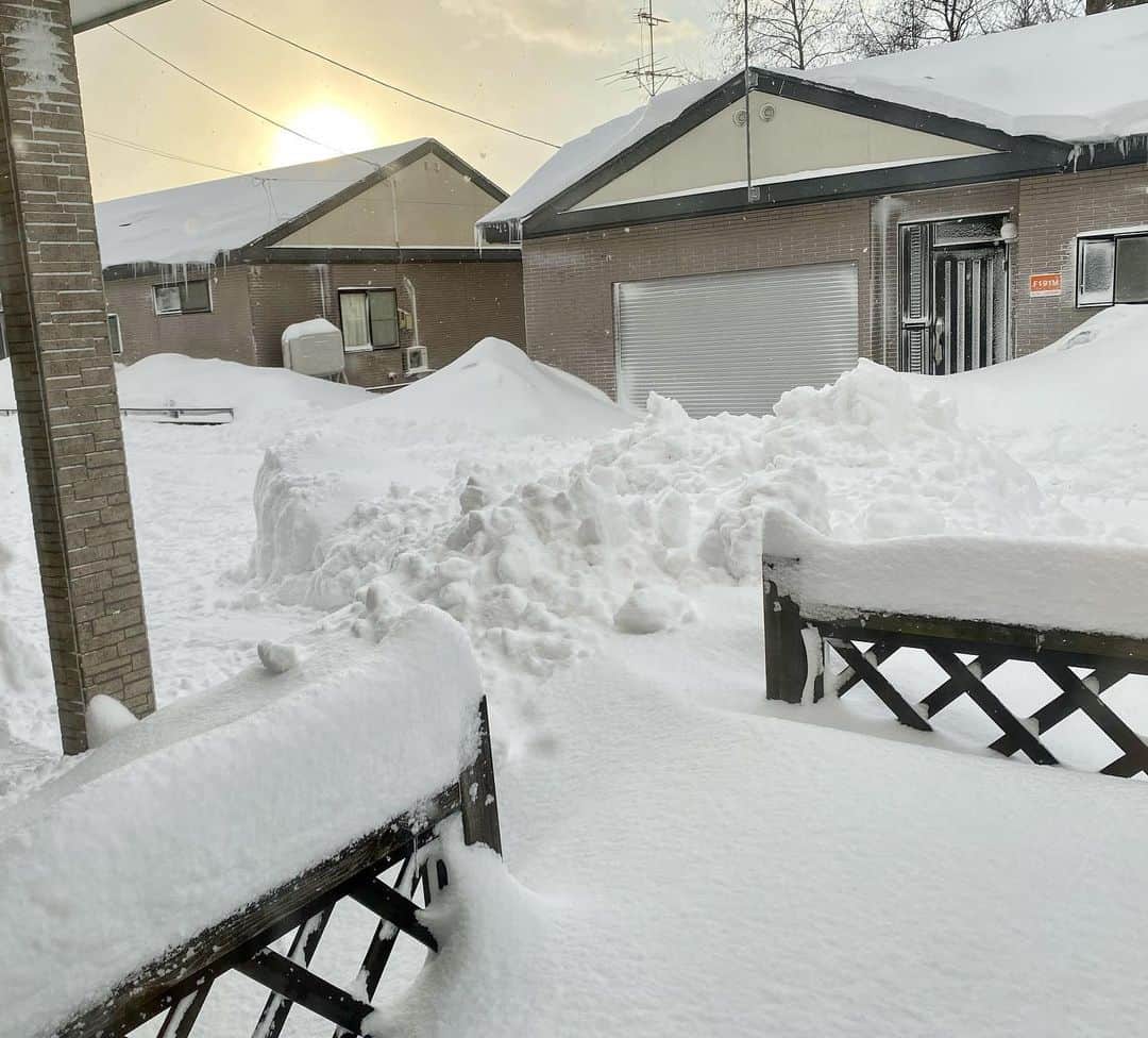 tiaichimaさんのインスタグラム写真 - (tiaichimaInstagram)「Good morning!! ❄️🌨おはムーギー‼︎  昨夜の🌬⛄️嵐は凄かった! 外が真っ白で何にも見えない。  このような積雪は、私が青森県に来てから初めてかも(24年経つのか…)  で、会社も今日は臨時休業になっちゃった。駐車場の除雪が間に合わないらしい。  #牛柄組鼻まわり汚れ隊 #ムチムチッコ #ムーギー#MuuGieeboy#cat#neko#ねこ#neko#ネコ#スコティッシュフォールド#ScottishFold#まんじゅう部」1月8日 8時30分 - tiaichima