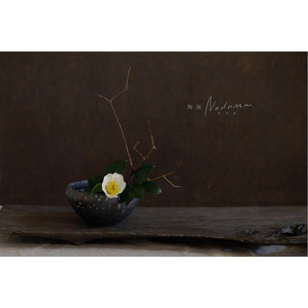 陶屋なづなのインスタグラム