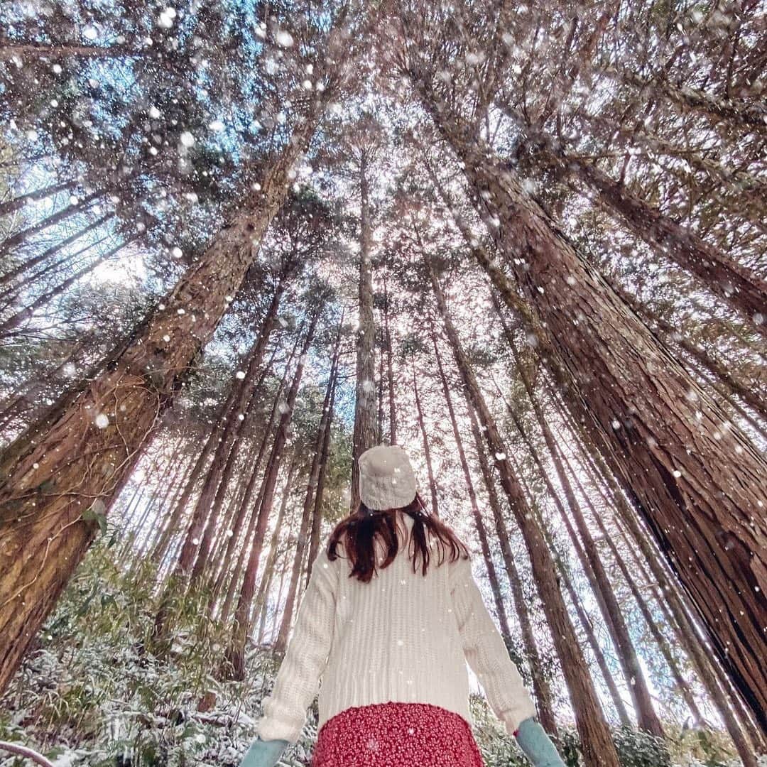 【JTB】マイトリ公式アカウントのインスタグラム：「＼今日のマイトリ 💛／﻿ ﻿ @moe_matsui さんの﻿ #日本 #広島県 でのお写真📷✨﻿ ﻿ ご紹介するお写真は、﻿ 雪景色と木々が美しい一枚☃️🌲﻿🤍 ﻿ 雄大な自然の中にいると心が落ち着きますね☺️﻿ 防寒対策はぬかりなく…🧣❄️﻿ ﻿ 🌐 日本﻿ 📍 広島県 / 府中市﻿ 🏷  #雪景色﻿ ﻿ 2021年もマイトリをよろしくお願いいたします🙇‍♀️﻿ ﻿ ﻿ みんなの#マイトリ もcheckしてみてね💫﻿ ﻿ マイトリサイトには、海外、国内の女子旅情報をUPしています❣️﻿ URLから、是非チェックしてみてください😚 ﻿ ﻿ #JTB  #JTBで旅がしたい  #広島 #広島旅行 #広島旅 #広島観光 #広島女子旅 #広島女子旅行 #日本の冬 #雪 #絶景 #府中 #広島観光 #日本の美 #日本の自然 #自然 #国内女子旅 #旅行好き #女子旅行 #女子旅 #国内旅行 #traveler #girlstrip #旅行 #GirlsWhoTravel #girlaroundworld」