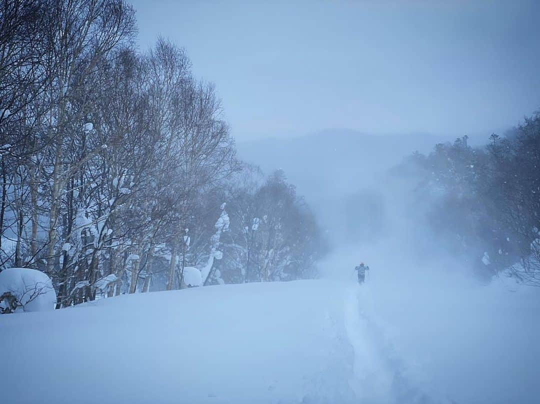 佐々木明さんのインスタグラム写真 - (佐々木明Instagram)「【Skiers job】 ラッセルはスキーヤーの仕事。 スノーボードをするようになり、よりスキーヤーの緩斜面での仕事が見えた気がします。 ラッセルスピードは遅いもののお任せください。  #photo 📸 by @iyamakeisuke」1月8日 18時08分 - akiraexploring