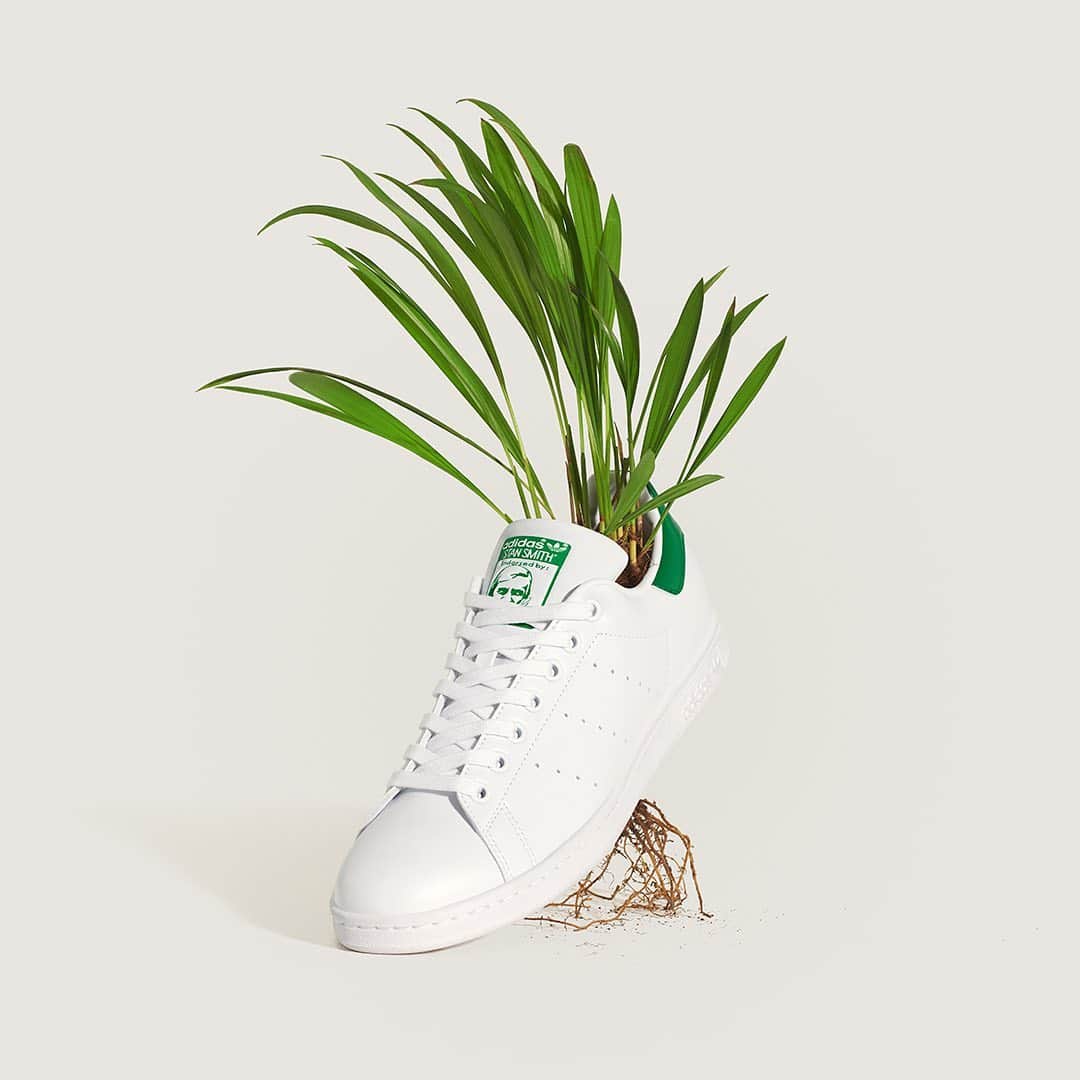 adidas Originalsさんのインスタグラム写真 - (adidas OriginalsInstagram)「The iconic Stan Smith returns with a more sustainable take on the timeless silhouette. Created as a part of our mission to help #ENDPLASTICWASTE, the classic sneaker wraps PRIMEGREEN, a series of high-performance recycled materials, in its legendary green and white colorway.  #STANSMITHFOREVER」1月8日 18時11分 - adidasoriginals
