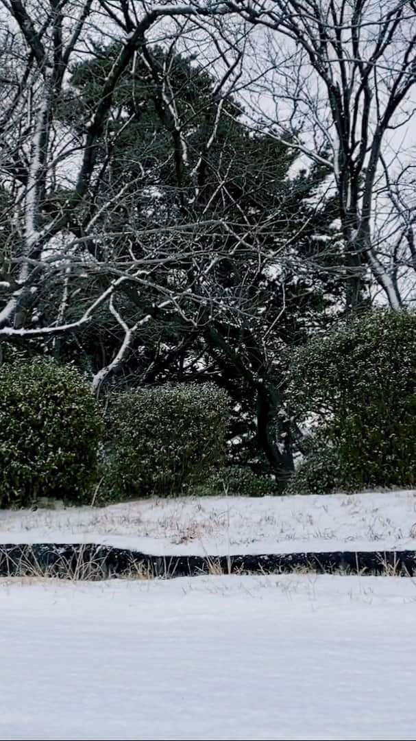 現地発信の旅行サイト「たびらい」のインスタグラム：「今日は福岡の雪景色をお届けします。今日の最高気温は1度ととても寒い1日となりました。あぁ、こんな日こそ温泉に入って温まりたい・・・♨️ : #福岡 #福岡市 #雪 #九州 #2021冬 #冬 #積雪 #fukuoka #winter」