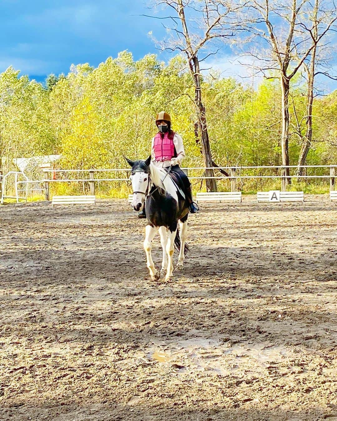 小林真由さんのインスタグラム写真 - (小林真由Instagram)「🐎🤍﻿ ﻿ お馬さん乗りたいー！っと言う娘が乗せられた瞬間凍りついてた日。﻿ この日からお馬さん乗る？というと、ちがうの！😨と言って逃げていきます🤭﻿ 乗るとそりゃ迫力あるよね..﻿ ﻿ ﻿ 昔美里ちゃんに連れて行ってもらって以来の乗馬🐎もちろん素人な私だけど背筋がぴーんとなり可愛いお馬さんに癒された気持ちの良い日でした☺️﻿ ﻿ ﻿ ﻿ #秋頃の写真🐎 #またお出かけしたいね #乗馬 #女の子ママ #男の子ママ #ママライフ #コーディネート #2歳 #生後5ヶ月 #ベビー #二人育児 #子供服」1月8日 18時42分 - mayukobayashii