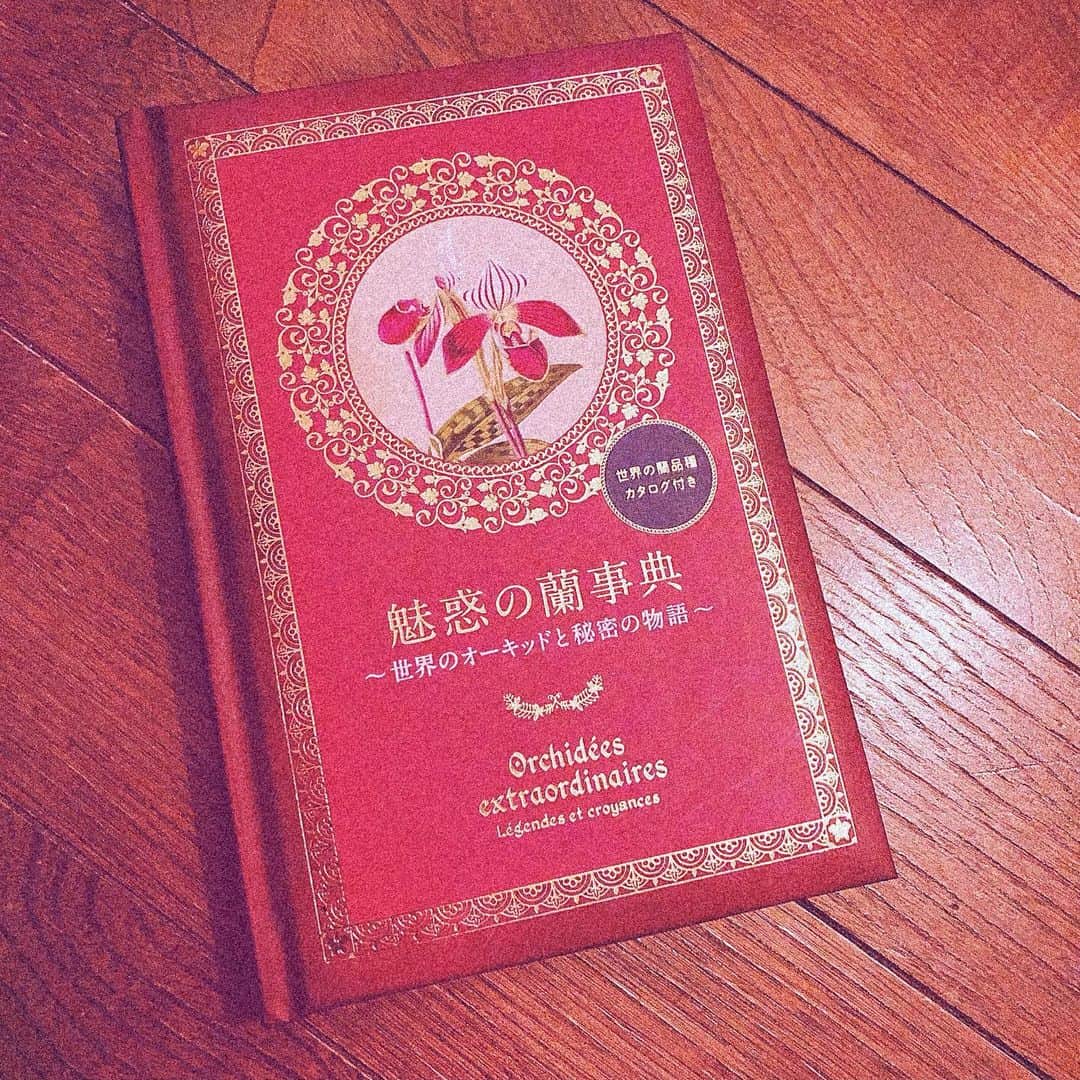 綾野ましろさんのインスタグラム写真 - (綾野ましろInstagram)「また大切にしたい本が増えた🧸 蘭。奥深い。  #flower #蘭　#魅惑」1月8日 18時54分 - ayanomashiro_official