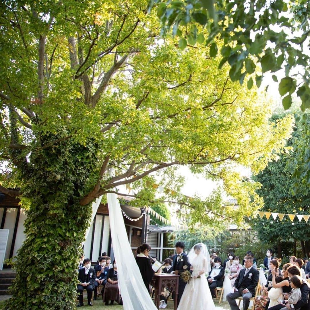 The Sally Garden（ザ サリィガーデン）のグルメインスタ