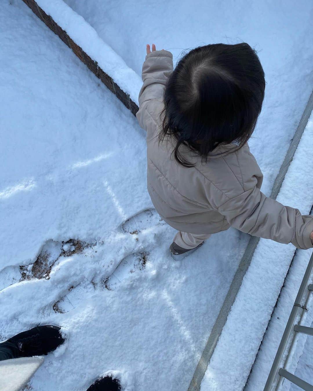 畠中清羅 さんのインスタグラム写真 - (畠中清羅 Instagram)「こちらは北極でしょうか？🤯 寒いし滑るし今日は用事以外は お家でおとなしく過ごそうと思います。  娘は初めての雪が嬉しいようで お庭で遊びたいと朝から雪遊びしました❄️  みなさんお気をつけて😭」1月8日 10時46分 - seira_hatanaka