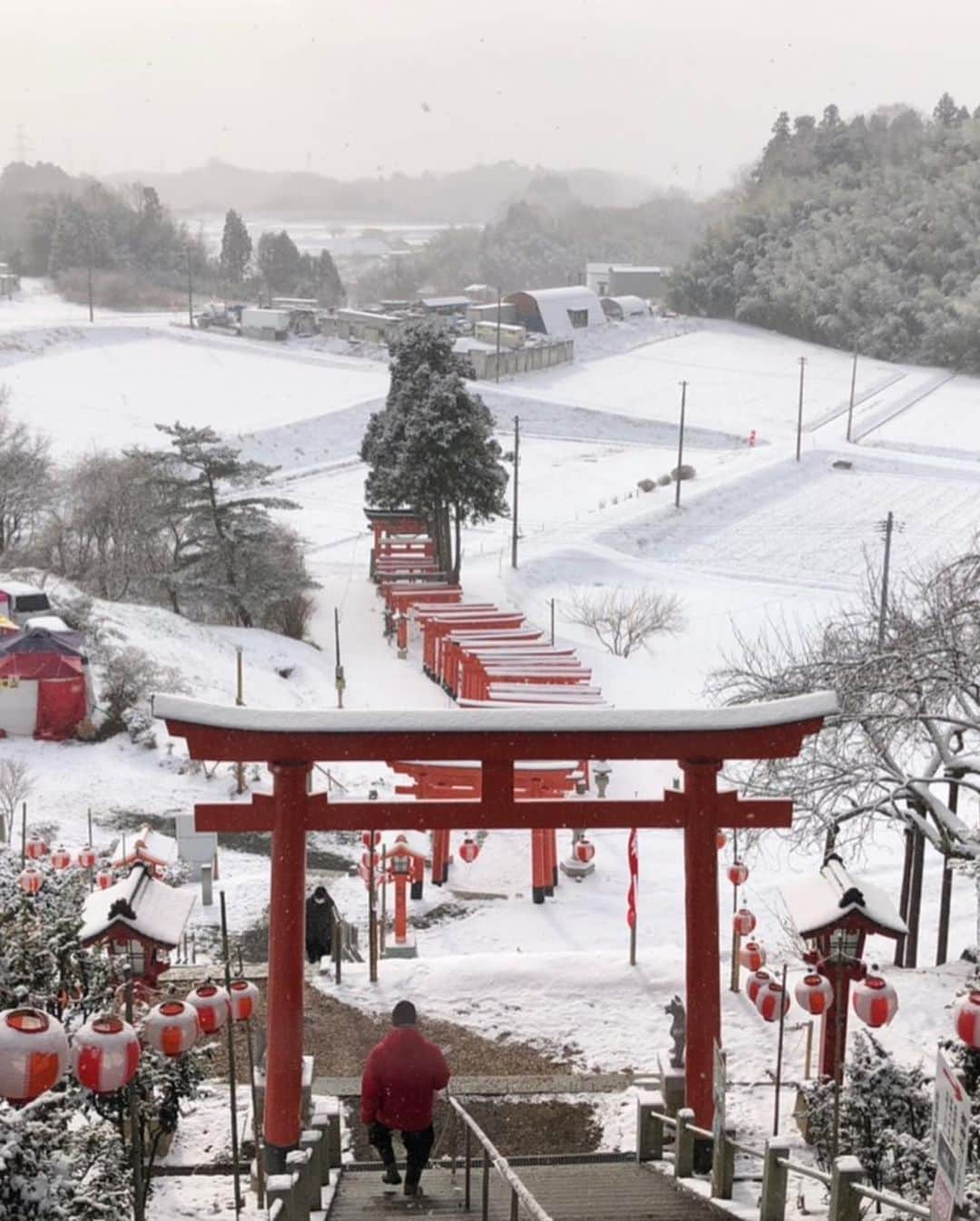 Rediscover Fukushimaさんのインスタグラム写真 - (Rediscover FukushimaInstagram)「Hatsumode (初詣・はつもうで) is a Japanese word that refers to the first visit to a Shinto shrine or Bhuddhist temple in the New Year. Typically, this visit happens on the first, second, or third of January; all days that most Japanese people have off from work as part of the national holiday. This year, to avoid crowds, people are requested to stagger their visits throughout January or visit smaller local shrines and temples in their area.⛩🥰  This year I visited Takayashiki shrine in Koriyama city, a small local shrine with a striking resemblance to the more famous #FushimiInariShrine in Kyoto! This shrine was really beautiful and fun to visit. There were even some cute fluffy chickens and one of the shrine priests gave me some crackers to feed them, it was really nice! ⛩🐓💕  People visit the shrine to buy lucky charm and make wishes for the new year. Charms from the previous year will be left here to be burned. 🔥  A popular activity to do when visiting a shrine is to buy a paper fortune, after reading the fortune its common to tie it to designated strings to be burned. At Takayashiki shrine they offered fortunes with an English translation which I thought was really cool! I really recommend paying a visit to this shrine.📜⛩🤩  Learn more about Fukushima on Facebook, Instagram, and our website!   https://fukushima.travel  🏷 ( #Hatsumode #はつもうで #初詣 #Shrinevist #VisitFukushima #Fukushimagram #Fukushima #FukushimaPrefecture #TakayashikiShrine #高屋敷神社 #Japan #JapanTrip #japanaesthetic #Japanwinter #TravelJapan #JapanTravel #Travel #TravelAsia #Kyoto #FushimiInariShrine #Fushimiinarishrinelookalike #anime #JapaneseLesson #2021travel #2020travel #Japan2020 #NorthernJapan #Tohoku #東北 )」1月8日 10時43分 - rediscoverfukushima