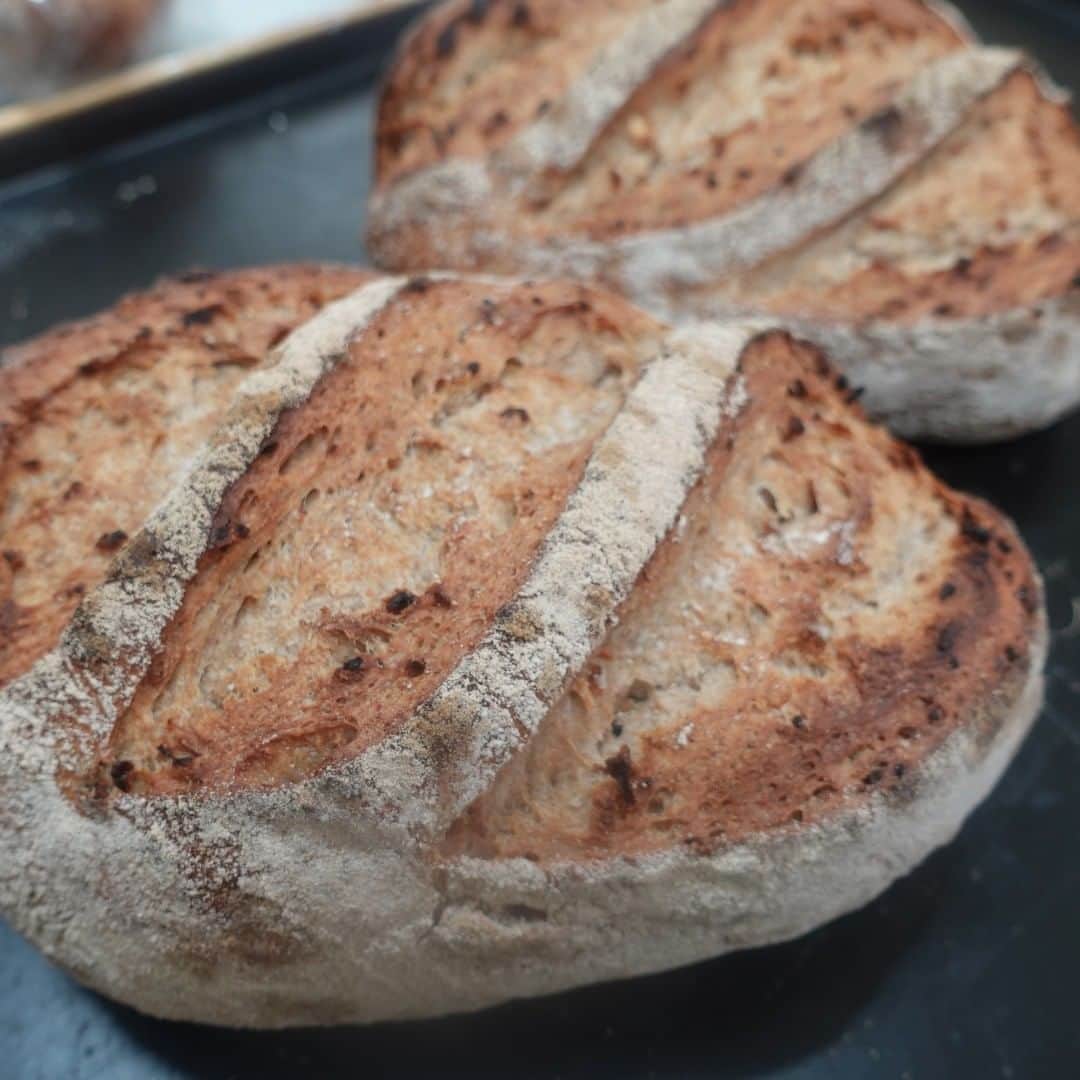 魔女菅原のグルメインスタ