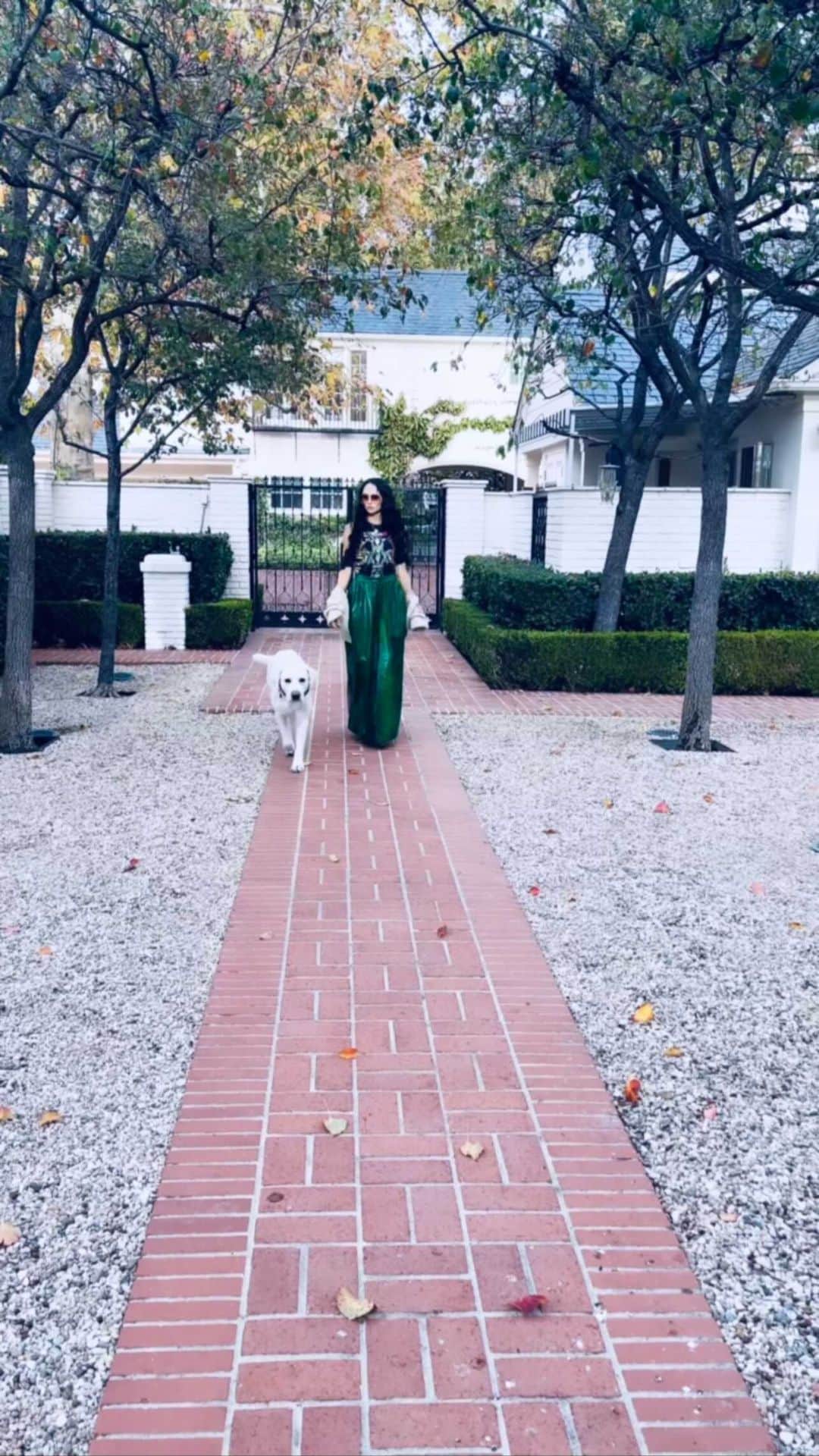 アリス+オリビアのインスタグラム：「Three glasses of Rose and I’m thinking I can really make this dog a super model 😂🤷‍♀️ (my skirt is custom order only)」