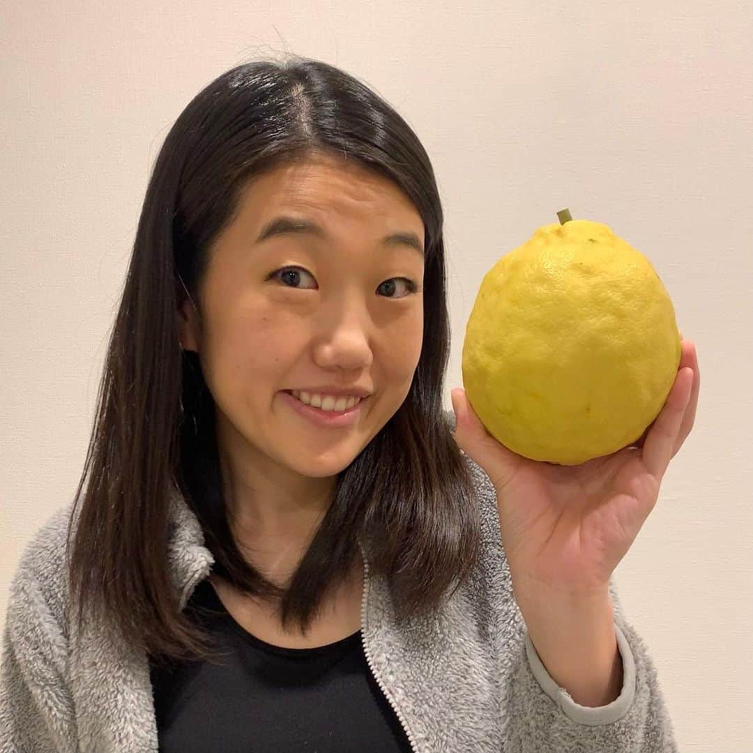 横澤夏子さんのインスタグラム写真 - (横澤夏子Instagram)「#実家からレモンが届いたのよー！ #グレープフルーツかと思うほどのデカレモンなのよー！ #ピチレモンはよく読んでたけど #デカレモンに出会うのは初めてなのよー #ザテレビジョンをイメージしたのよー #どうやって食べればいいのよー！ #うふ！」1月8日 11時54分 - yokosawa_natsuko
