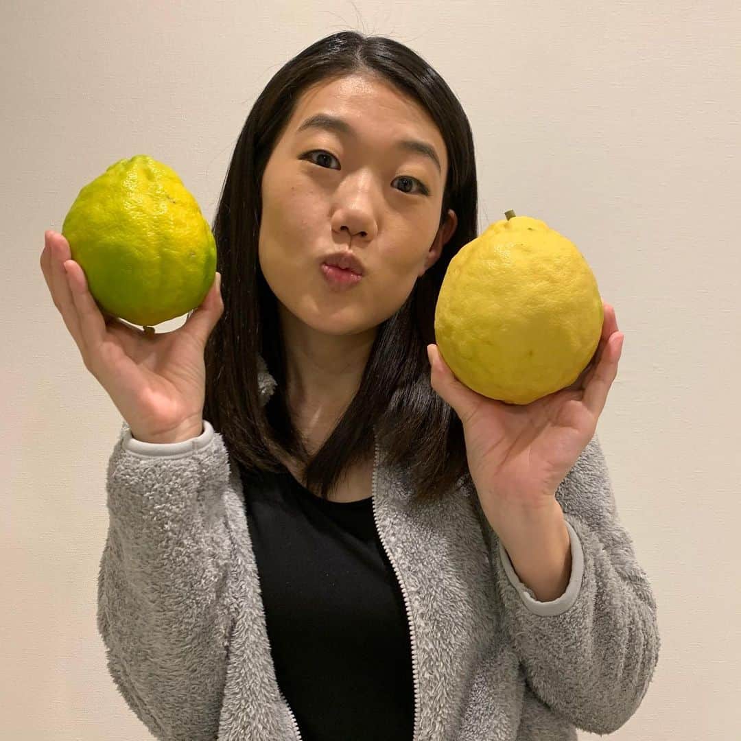 横澤夏子さんのインスタグラム写真 - (横澤夏子Instagram)「#実家からレモンが届いたのよー！ #グレープフルーツかと思うほどのデカレモンなのよー！ #ピチレモンはよく読んでたけど #デカレモンに出会うのは初めてなのよー #ザテレビジョンをイメージしたのよー #どうやって食べればいいのよー！ #うふ！」1月8日 11時54分 - yokosawa_natsuko