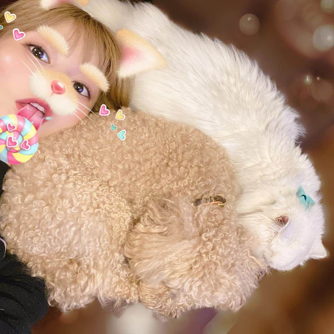 山内あいなさんのインスタグラム写真 - (山内あいなInstagram)「にゃんたにゃんにゃんたのおくりもの🎁  2週間後には発売してると思うとドキドキです😳💗 楽しみに待っててね‼︎🥺✨  #にゃんた #絵本 #うちのにゃんたとわんた🐶🐱」1月8日 12時05分 - ainayamauchi3131