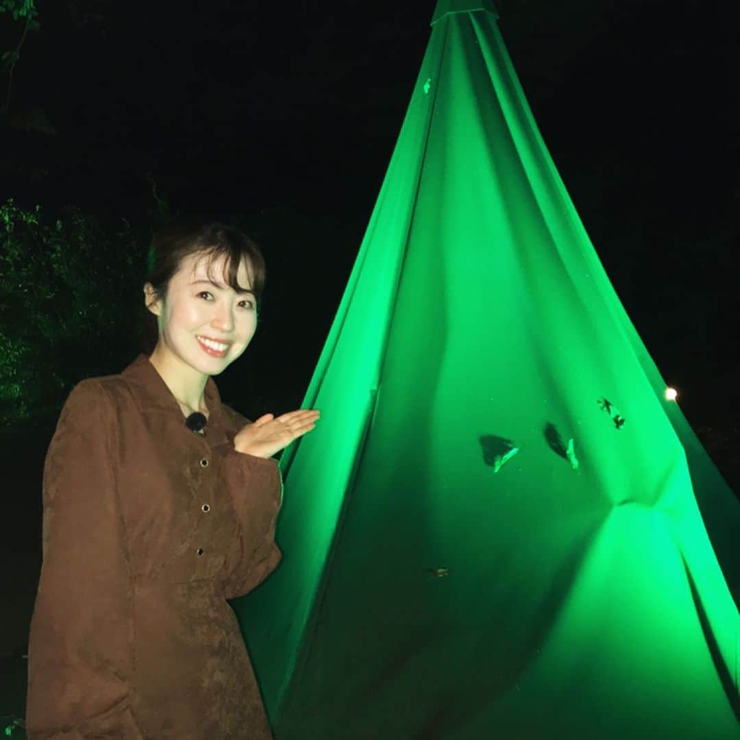 坂本奈津美のインスタグラム：「.﻿ 1月9日(土)午前11時30分から﻿ BS-TBS「最旬！トレンドサーチ」﻿ ﻿ 埼玉県飯能市にある﻿ ムーミンバレーパークへ行ってきました🙋🏻‍♀️﻿ ﻿ 夜間限定の体験型アトラクションをご紹介します🌝﻿ ﻿ 専用のアプリで楽しむ﻿ 「ムーミン谷」の世界を満喫しました✨﻿ ﻿ 自分もムーミン谷の仲間の一員のような気持ちになれる、ほのぼのスポットでした☺️﻿ ﻿ あす放送です。ご覧ください🎶﻿ ﻿ #ムーミン　#ムーミンバレーパーク﻿ #最旬トレンドサーチ　#BSTBS」
