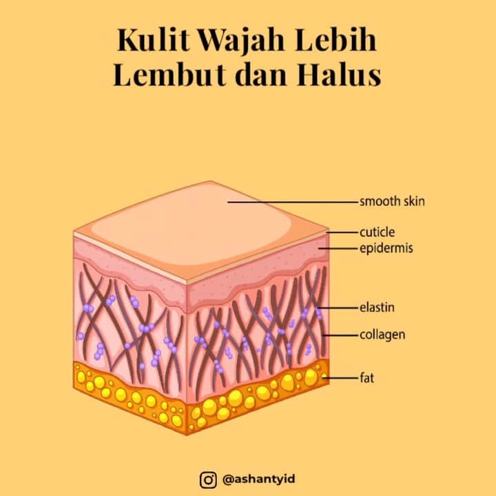 ASHANTY BEAUTY CREAM OFFICIALのインスタグラム：「Hi Ladies, jangan anggap remeh! Merawat wajah adalah hal wajib yang harus ladies lakukan. Dengan kulit wajah yang lebih sehat dan berseri penampilan akan terlihat lebih cantik dan mempesona. Kulit wajah yang halus dan lembut merupakan fondation terbaik, kamu tidak perlu menggunakan makeup tebal tapi sudah terlihat memukau 😍  Rawat wajah menggunakan rangkaian cream series by @ashantyid yang akan mewujudkan mimpi ladies untuk memilki kulit wajah yang lebih cerah dan berseri, bebas kusam, jerawat dan tanda penuaan dini ✨  _________________________________ Informasi dan pemesanan : WA: 087778489900 WA: 081287388885 WA: 085781140354 WA: 081293823950 FAST RESPONS CLICK LINK yang ada di Bio IG @ashantyid  _________________________________ #creamwajag #beauty #cosmetics #brandlocal #skincare #skincarelocal #thehermansyah #beautyvlogger #beauty #kosmetikmahal #ashantyid #keluargaasix #ashantyhermansyah #mua」