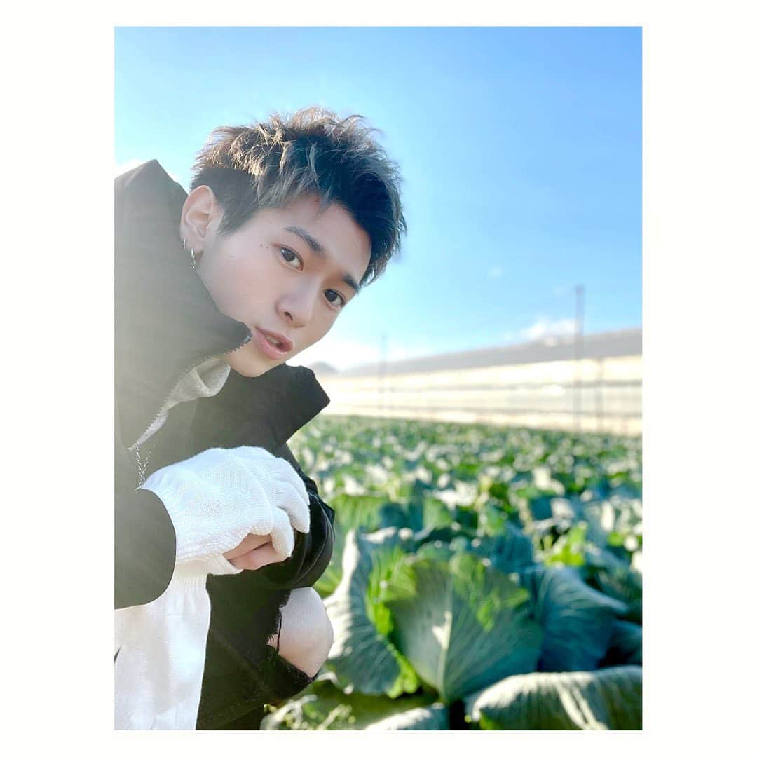 岡田鷹斗さんのインスタグラム写真 - (岡田鷹斗Instagram)「キャベツ畑と僕。  #農家　#キャベツ　#農家さんありがとう  #普段何気なく食べてる野菜も農家の方がいるからこそ食べられる  #ありがとう #ありがとうキャベツ　#🥬」1月8日 12時36分 - okada_takato