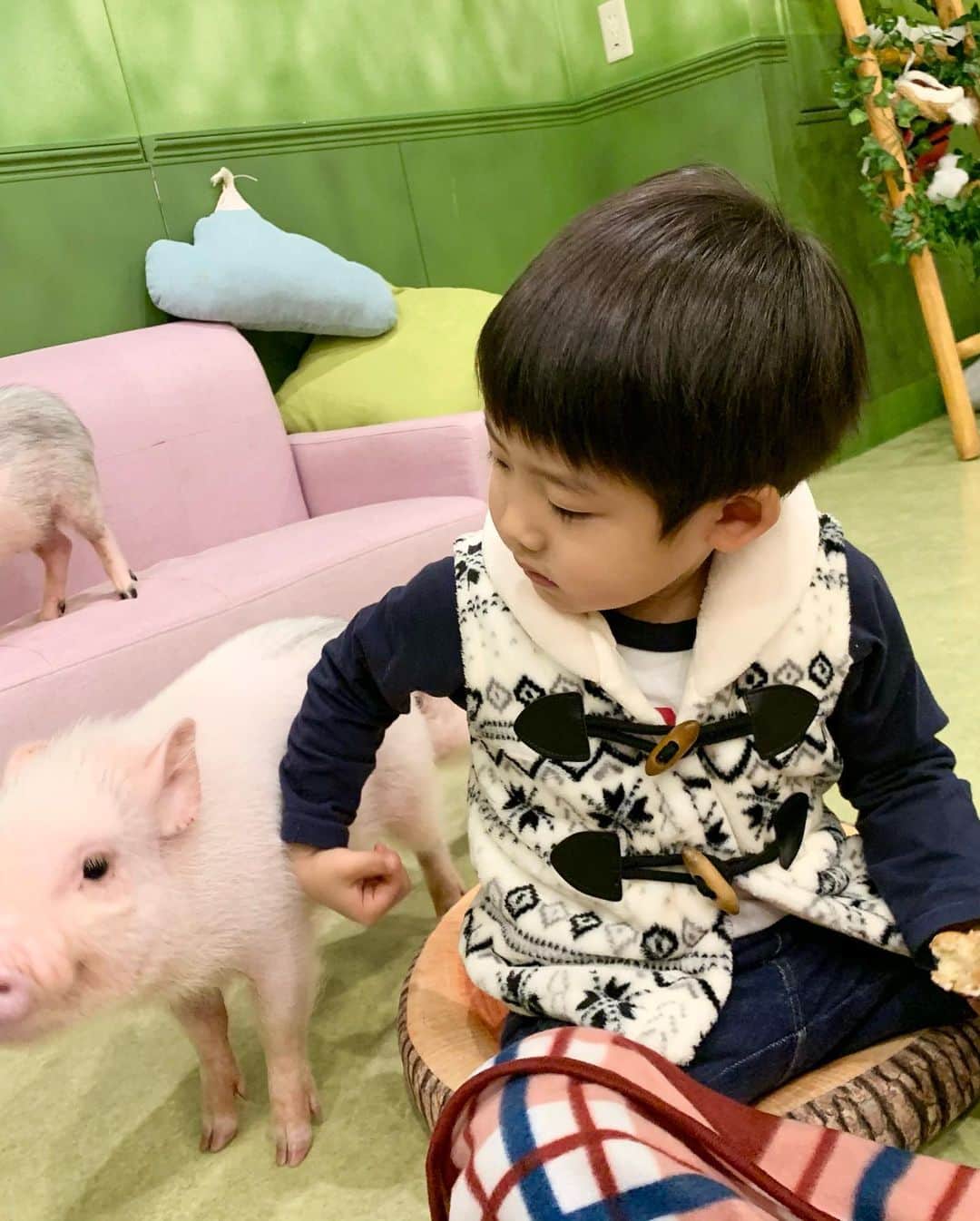 桜井未来さんのインスタグラム写真 - (桜井未来Instagram)「豚カフェ🐷🍰 この日の豚さん達凶暴で、ドーナツ🍩頼んだら、襲われて、大人の私でもちょっと凄いな💦ってレベルだった😅💦  動物は意外に怖いって社会勉強ですね😂🤣」1月8日 14時05分 - miki.sakurai0214