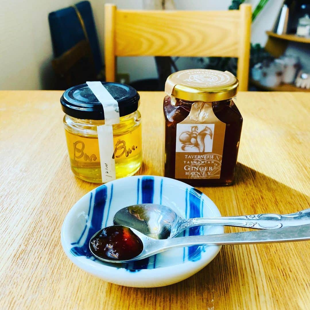 大宮エリーさんのインスタグラム写真 - (大宮エリーInstagram)「家にある蜂蜜🍯を 仕事の合間に、すこしずつ 堪能することにした。 今日は、タスマニアの生姜はちみつ右と、ひだりは、、わからない、、 蜂はすごいね いろんな蜜をつくるね。 いただいちゃってごめんよ蜂さん。  #honey #蜂蜜 #おやつ #お茶請け #スプーン」1月8日 14時15分 - ellie_omiya