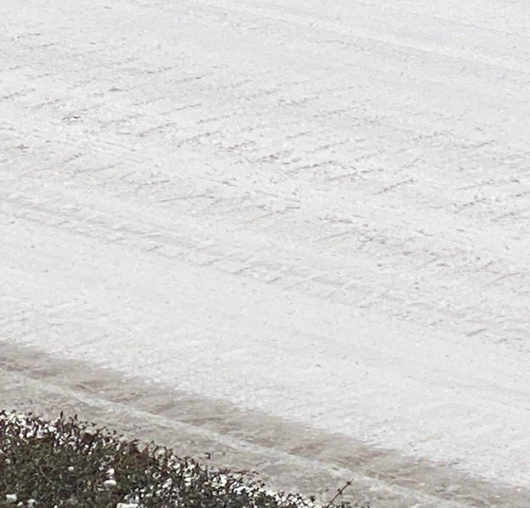 浅香圭（コラゾン）さんのインスタグラム写真 - (浅香圭（コラゾン）Instagram)「積雪。バスが通った跡の 雪の厚さよ。。 本日すべて案件キャンセルして ひきこもり。  #雪#らくがき#art#積雪 #イラスト#お弁当#マンガ#アート #漫画#演劇#モデル #イケメン#芸能#画家 #パン#舞台#おやつ#ipadpro  #japan#ラーメン #おかず#うどん #snow#tshirts #グッズ#撮影#training #ヘアスタイル #artwork#映画」1月8日 14時16分 - keiasaka