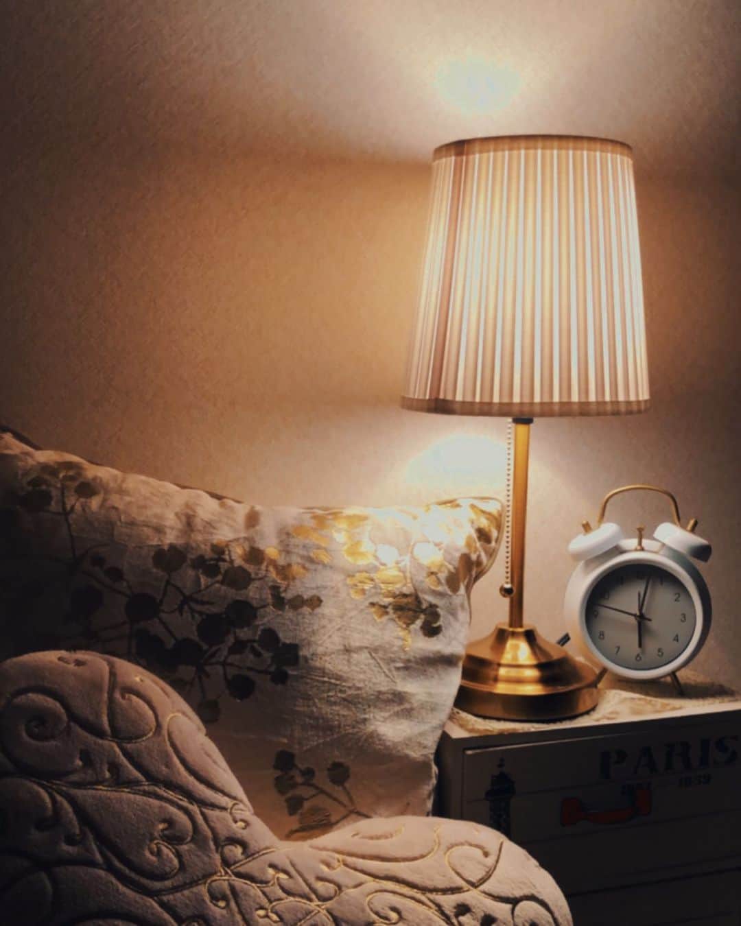 白石まゆみさんのインスタグラム写真 - (白石まゆみInstagram)「ランプが家に届いた．」1月8日 14時19分 - mayumi.1227