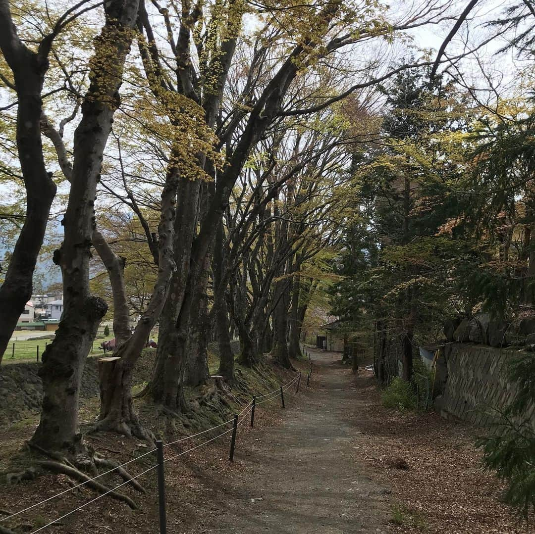 ローレン・サイさんのインスタグラム写真 - (ローレン・サイInstagram)「some time」1月8日 14時27分 - laurentsai