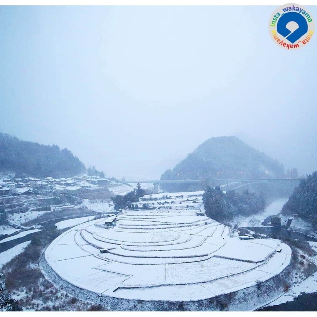 和歌山県のインスタグラム：「. Insta_Wakayamaでは、皆さんがハッシュタグをつけて投稿してくださった写真から、素敵な写真をご紹介させていただきます！ 本日のピックアップは @eririn1502 さんのお写真です☆ ハッシュタグのご利用ありがとうございますm(_ _)m . こちらは有田川町のあらぎ島のお写真ですね👀 今日の和歌山県、最低気温がマイナス気温になっていましたね。雪も降った地域も多いのではないでしょうか。 あらぎ島もすっかり雪景色。夏の青々とした水田も今日は真っ白なんですね☺ 和歌山市内も朝は雪⛄が吹雪いていました。ちなみに明日も今日と同じくらい寒いようです。 . . 和歌山に関する投稿には「 #insta_wakayama 」のハッシュタグをつけてください★ 和歌山の魅力を皆さんで発信していきましょう！ ハッシュタグをつけると同時に、写真の場所の記載・位置情報の登録もお願いします🎵 なお、お写真を撮影される際は感染対策を十分に行ってくださいね。 . #あらぎ島 #有田川町 #和歌山県 #和歌山 #aragijima #aridagawa_town #wakayama #insta_wakayama #instameet_wakayama #wakayamagram #nagomi_wakayama #visitwakayama #retrip_news #japan #なんて素敵な和歌山なんでしょう」