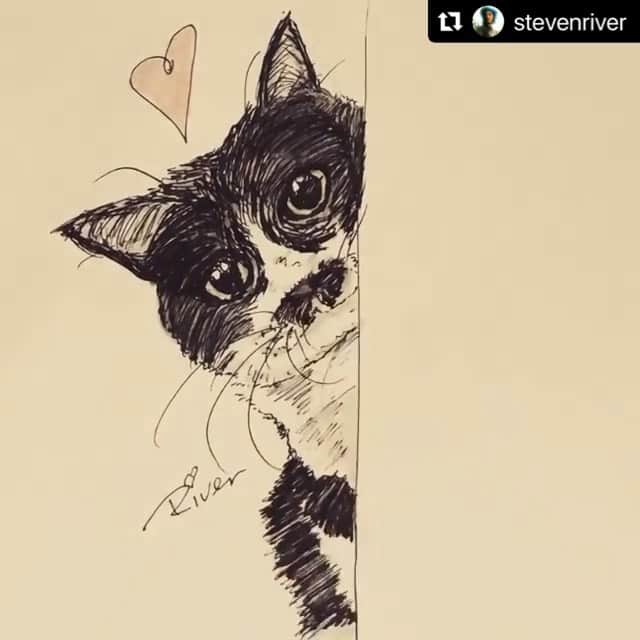もじゃころのインスタグラム：「チョッチュ具志コロペッペ描いてくださいました☺️ありがとうございます💕💕  @stevenriver drew this picture.  So cute😍❤️😍❤️😍❤️ This looks just like Gushicoro-Peppe. Thank you so much☺️💕💕  #チョッチュ具志コロペッペ   #Repost @stevenriver  ・・・ Day 1835. For @mojyacoro96 #love #peace #neko #cat #stevenriver」