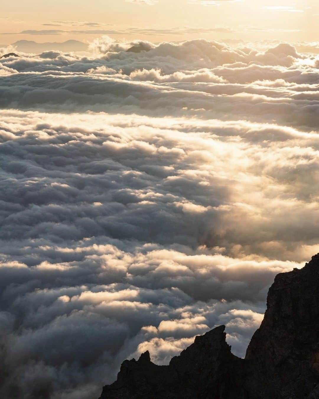 ?長野県 観光 公式インスタグラム さんのインスタグラム写真 - (?長野県 観光 公式インスタグラム Instagram)「//﻿ Photo by @0nomaru ﻿ A Sea of Clouds below Mt. Shirouma (Hakuba Village)  Mt. Shirouma is the tallest peak of the Ushirotateyama mountain range of the Northern Japanese Alps.  From 2,932 meters high, you can gaze upon amazing views, including a sea of clouds that extends as far as the eye can see.   *Climbing Mt. Shirouma in winter requires a high degree of technical skill and physical fitness.  *The mountain lodges around Mt. Shirouma are closed for winter.  ＝＝＝＝＝＝＝＝＝﻿ ﻿ 天空の楽園 「白馬岳の雲海」 ＠白馬村  北アルプスの後立山連峰最高峰「白馬岳」⛰  標高2932mから見る景色は 時としてあたり一面雲海に 覆いつくされることもあります⛅️  光に照らされた雲海は まるで天空の楽園のような絶景です✨  ＊） 冬季の白馬岳は高い技術と体力を必要するため熟練者以外は入山を控えてください。 ＊） 白馬岳周辺の山小屋は休業もしくは今シーズンの営業は終了しております。 ＿＿＿＿＿＿＿＿＿　﻿ ﻿ Location / Hakuba Village, Nagano Pref., Japan ﻿ ﻿ #おうちでながの﻿ #長野のいいところ ﻿ #白馬岳  #白馬村  ＿＿＿＿＿＿＿＿＿ ﻿ ﻿ 📸インスタアワード作品募集中📸﻿  #長野の車窓から #長野の雪遊び 撮影場所(長野県内に限ります)  をキャプションに入れて 応募期間（12/28～2/28﻿）に投稿してください。 優秀作品に選ばれると 長野県特産品セットをプレゼント🎁  詳しくはプロフィールのリンクからご覧ください﻿。」1月8日 17時00分 - nagano_japan