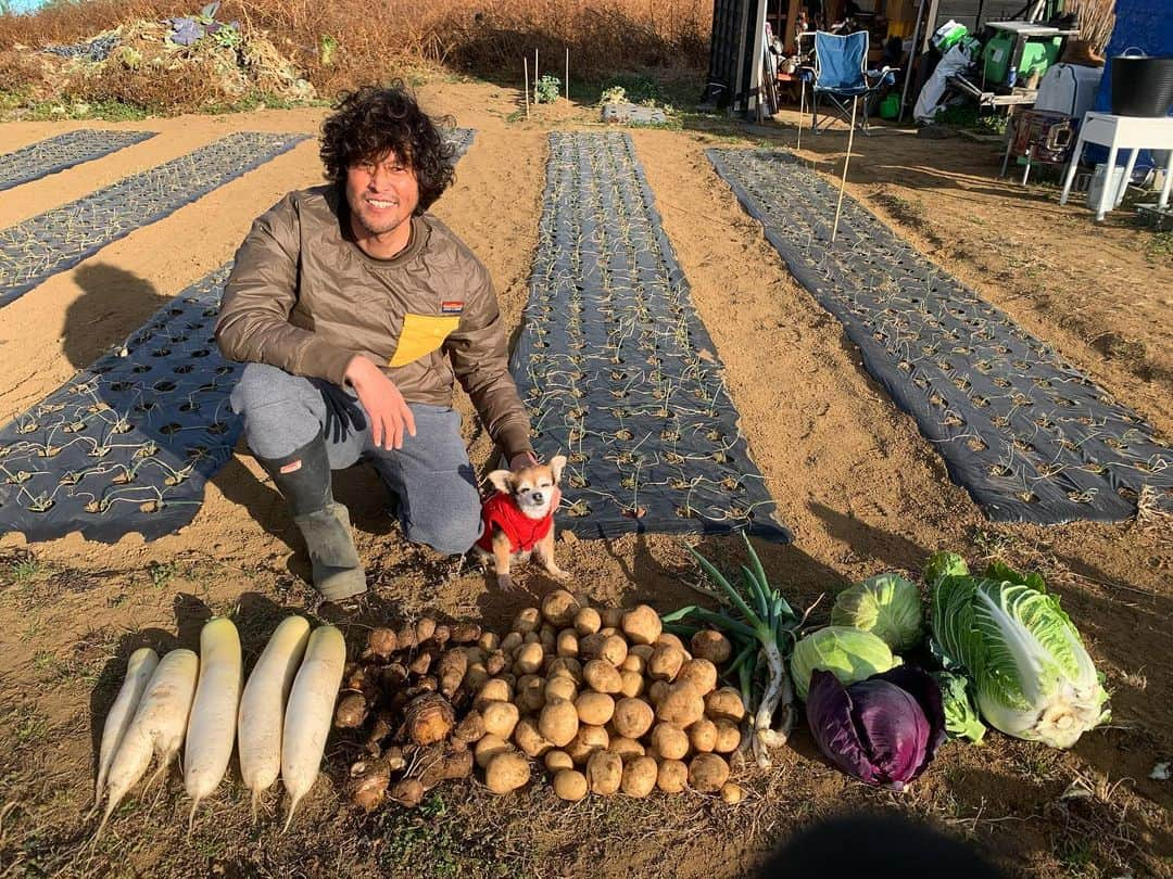 三浦理志さんのインスタグラム写真 - (三浦理志Instagram)「NORF始め！ 寒い！🤣 #surfandnorf #farm #farmer #vegetables #畑 #野菜 #冬野菜 #農夫 #自家製野菜 #自産自消 #小粒」1月8日 17時01分 - mar4m