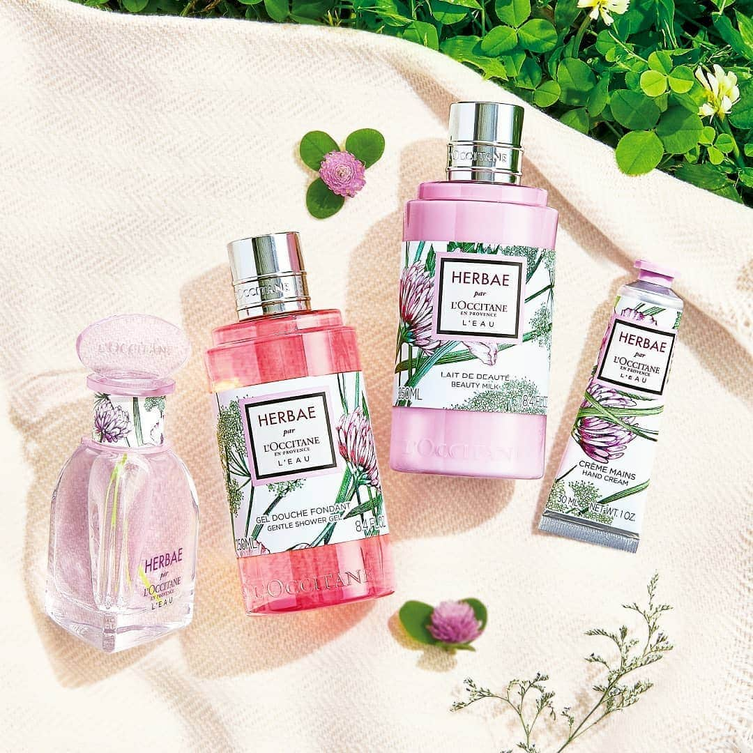 L'OCCITANE en Provenceのインスタグラム