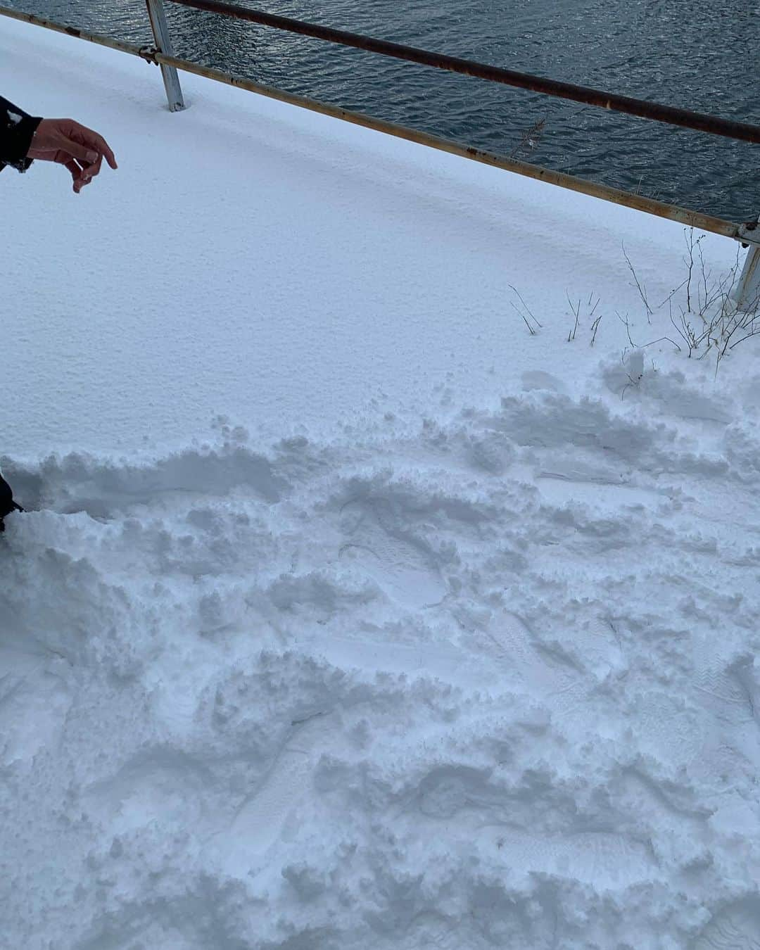 釜谷悠平さんのインスタグラム写真 - (釜谷悠平Instagram)「久しぶりに積もった雪！ 楽しかった☃ 絆創膏はみるくと戦ってたらやられました… 突然ヒロインのTik Tokに僕の踊ってる動画があがってます！ みてね #雪だるま #雪  #突然ヒロイン  #TikTok」1月8日 17時15分 - yuhei_kamatani