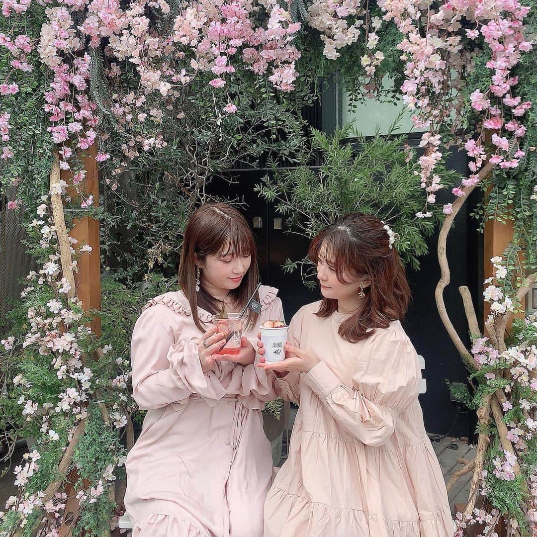 ローリエプレス編集部のインスタグラム