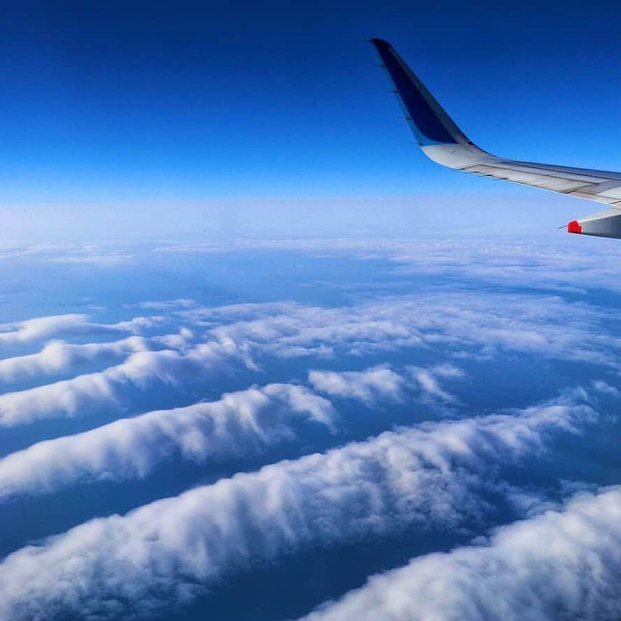 ANAさんのインスタグラム写真 - (ANAInstagram)「雲の横断歩道を渡って✈️ （Photo：@imasaka_8256）  #並ぶ雲 #縞模様 #雲のアート #上空 #青空 #飛行中 #雲 #空 #地平線 #青い翼 #ウイングレット #飛行機からの景色 #機窓からの景色 #機窓写真 #機窓 #飛行機のある空 #ソラマニ_マドカラ #coluds #sky #bluesky #anablue #winglet #window #airplane #japan #ana_jp   機窓からの風景は「#ソラマニ_マドカラ」を付けて投稿してね📷インスタやANAの各メディアでご紹介していきます✈️」1月8日 17時30分 - ana.japan