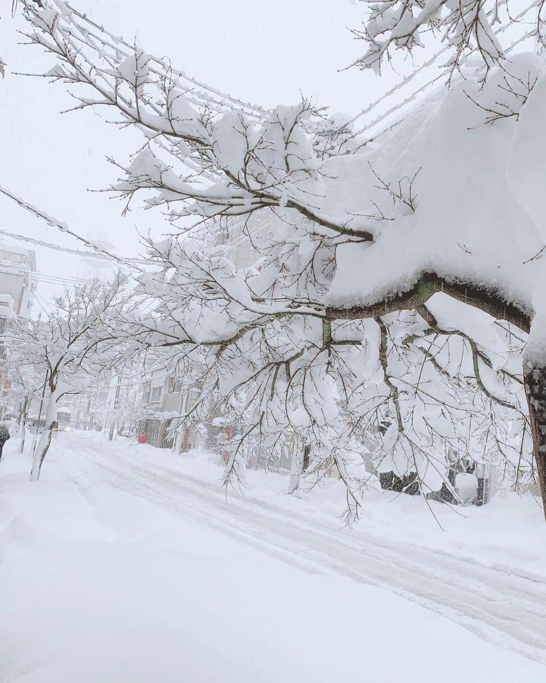 松本未夢さんのインスタグラム写真 - (松本未夢Instagram)「起きたら雪国になっておった件🤣☃️❄️ . 南国に住んでると、たまーに雪が恋しくなる💓たまにねw . 毎年、日本帰ってくると、雪が全然降らなくて🤣 今回はやっと✨✨✨念願の大雪😍嬉しい⛄️❄️💓 . . หิมะตกเยอะ😍❤️☃️  #雪国 #パウダースノー #大雪の為デパートは6時に閉まりますだってさ❄️ #むーちゃんかまくら作りたいってゆってたな😂💕」1月8日 17時48分 - miiimuuu_chan