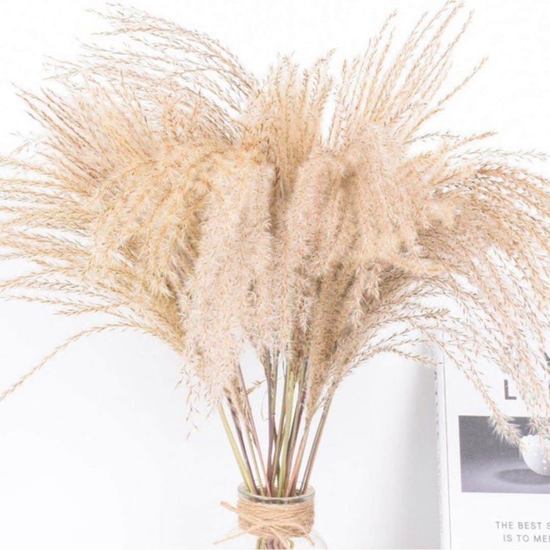 チップ＆ペッパーのインスタグラム：「Dried Pampas Grass . . . . . . . . #eclecticdecor #apartmenttherapy #boholiving #dreamcatcher #fiberart #decoration #bohowedding #livingroomdecor #macramemakers #rusticdecor #shopsmall #wallart #farmhousedecor #interiorstyling #love #macramedecor #bohemianhome #vintagestyle #dreamcatchers #macramecommunity #modernmacrame #homedesign #macrameart #macramemovement #interiors #design #smallbusiness #modernboho #homedecorideas #bohointeriors」